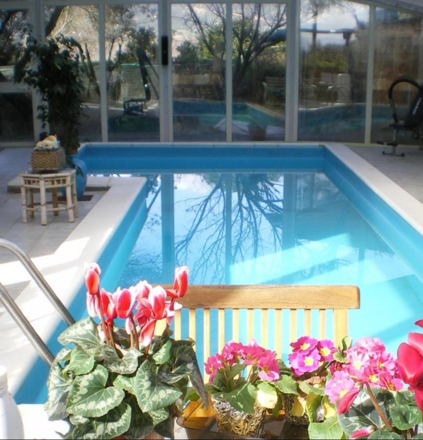 Villa Luce B&B Όλμπια Εξωτερικό φωτογραφία