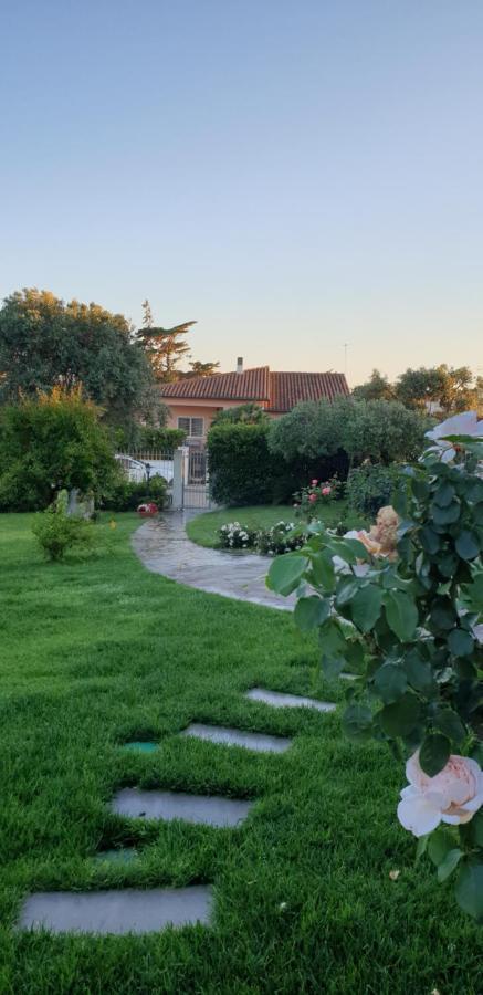 Villa Luce B&B Όλμπια Εξωτερικό φωτογραφία
