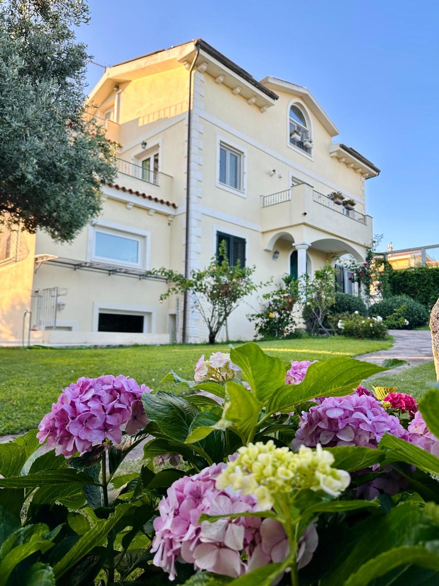 Villa Luce B&B Όλμπια Εξωτερικό φωτογραφία
